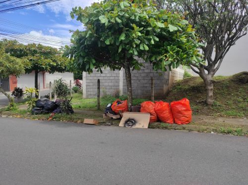 Denuncian basurero clandestino en Calle&hellip;