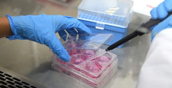 Goicoechea entre los cantones con&hellip;