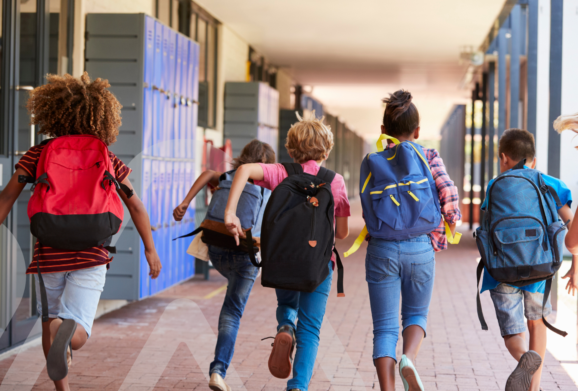 Mutual Seguros llama a proteger&hellip;