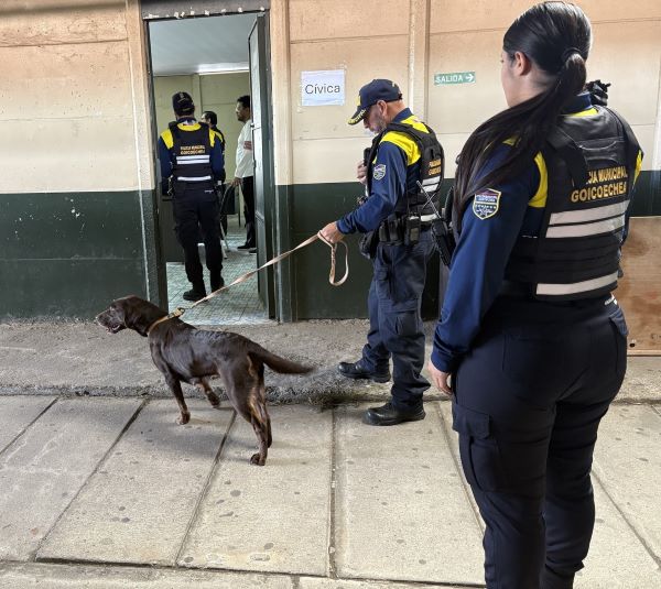 Policía Municipal refuerza prevención en centros educativos de Goicoechea con apoyo de unidad canina