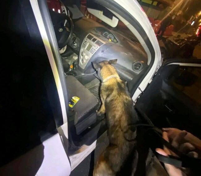 Fuerza Pública asesta golpe al narcomenudeo en San José