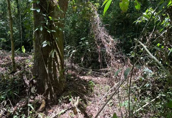 Hallazgo de cuerpo en Goicoechea: hombre presentaba golpes y estaba semidesnudo